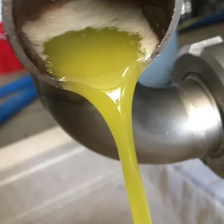 La Dispensa-bio 住宿加早餐酒店 3*