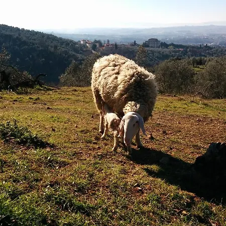 住宿加早餐酒店 La Dispensa-bio