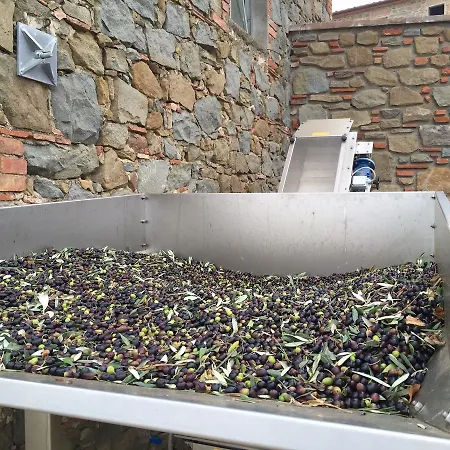 La Dispensa-bio 住宿加早餐酒店 兰波雷基奥